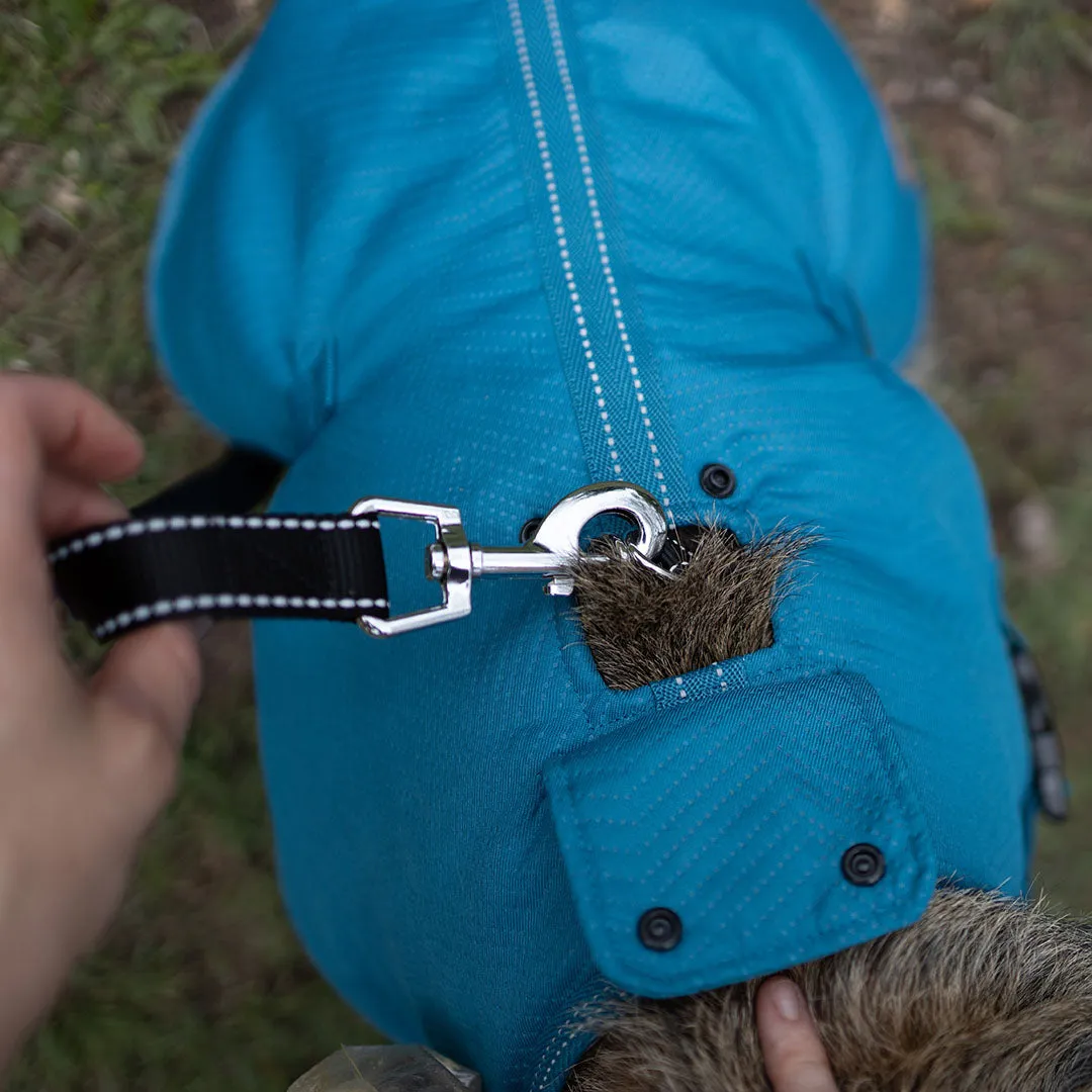 Adventure Dog Coat with Harness Hatch - Blue