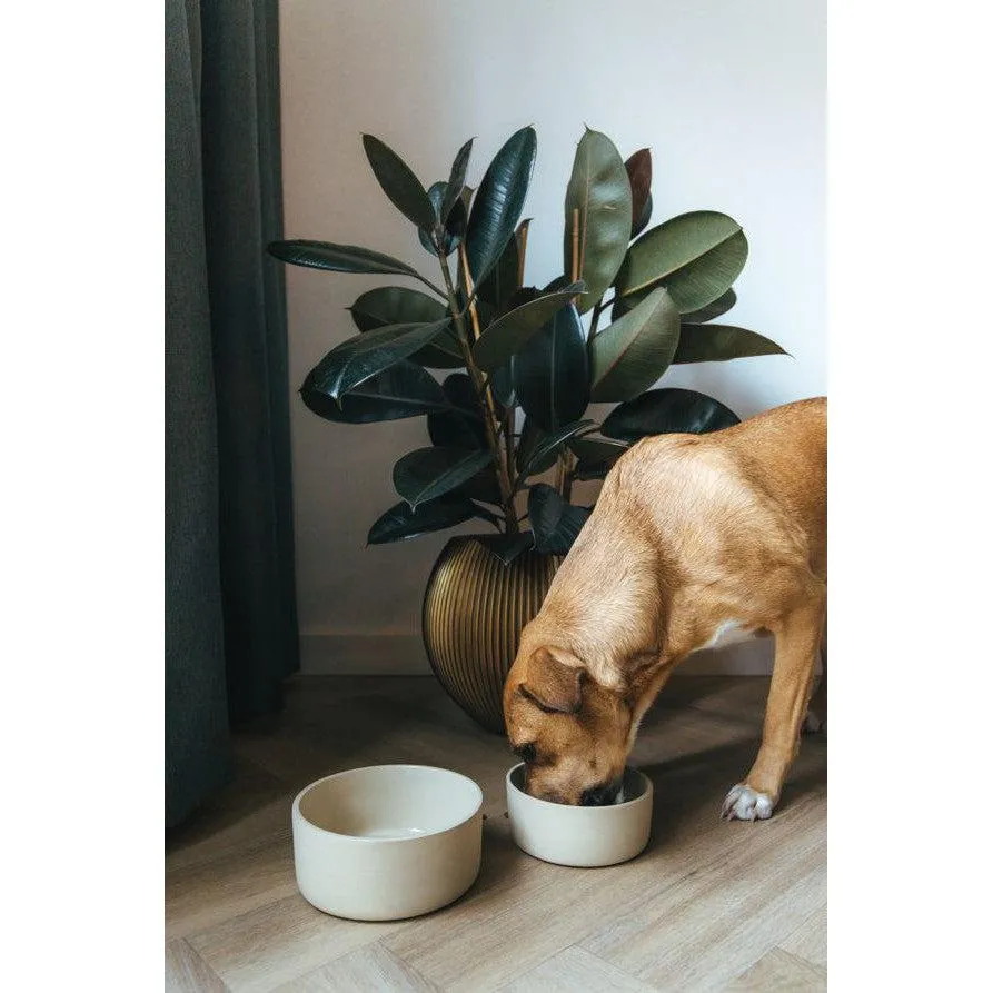 AVA Bowls | Ceramic Dog Bowl - Fennec