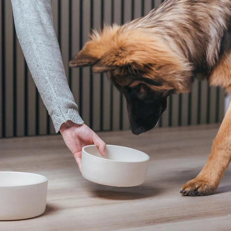 AVA Bowls | Ceramic Dog Bowl - Fennec