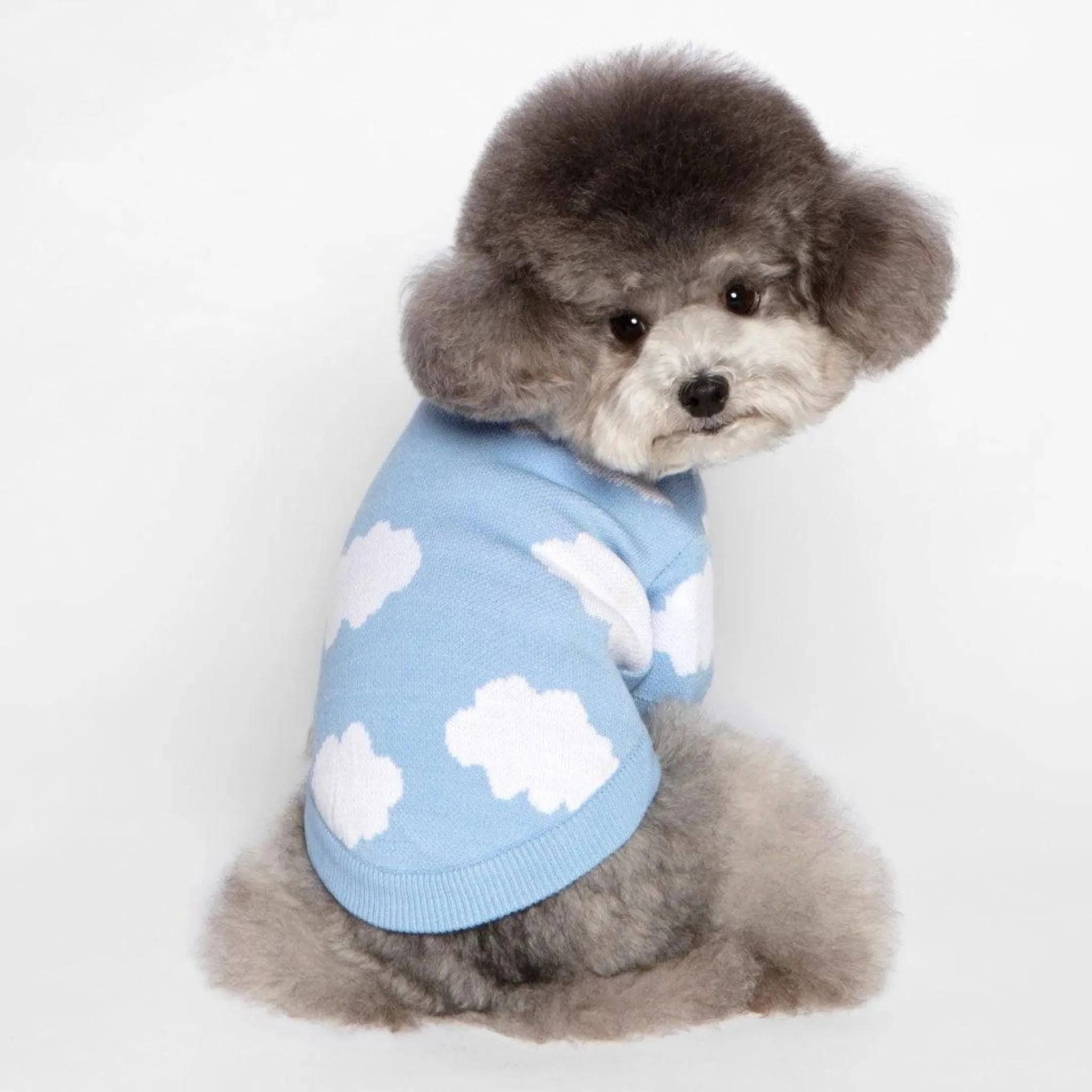 Dog Cardigan Blue Cloud 9 Button Down Sweater