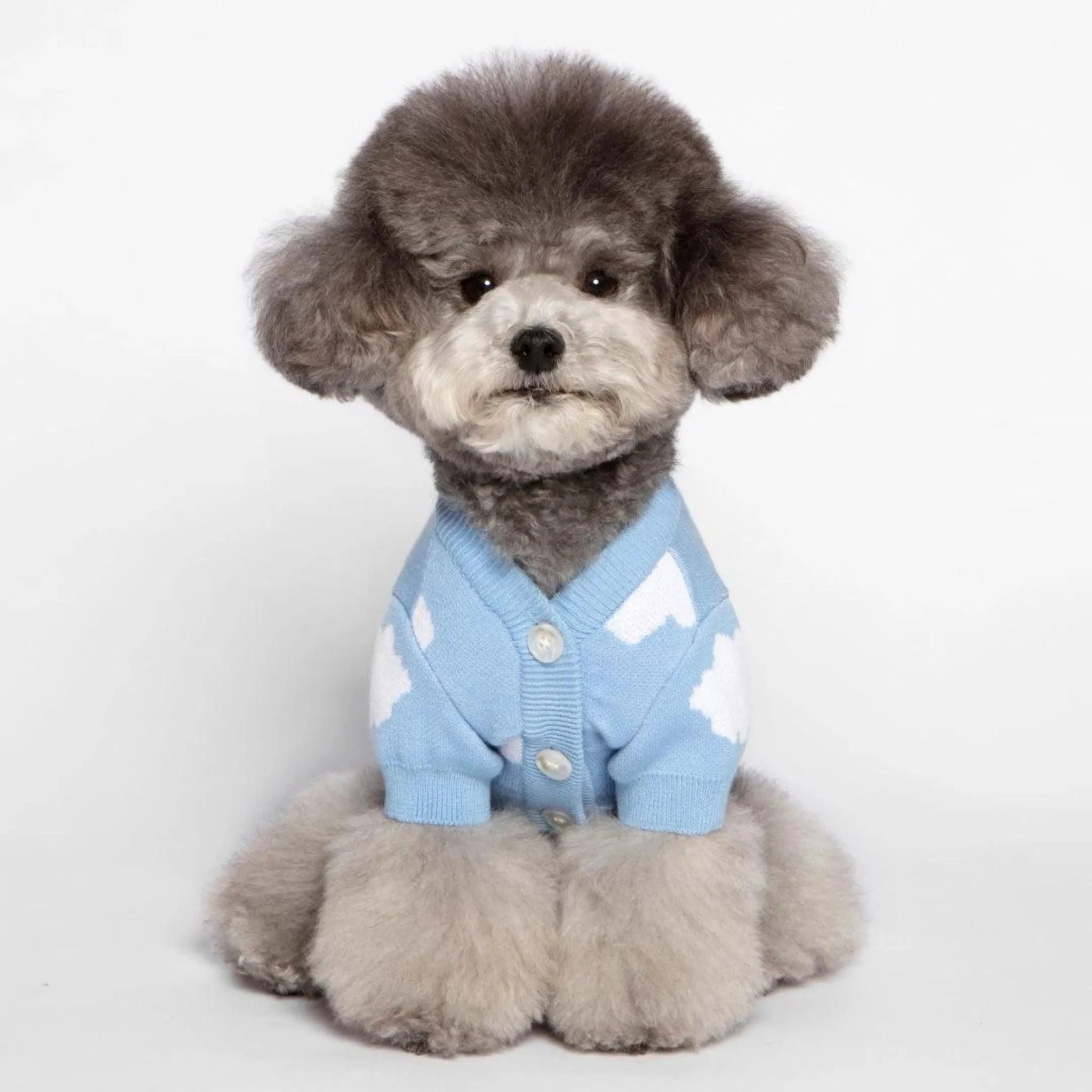 Dog Cardigan Blue Cloud 9 Button Down Sweater