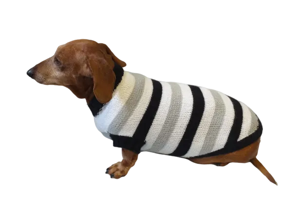 Knitted sweater for small dog clothes for dachshunds