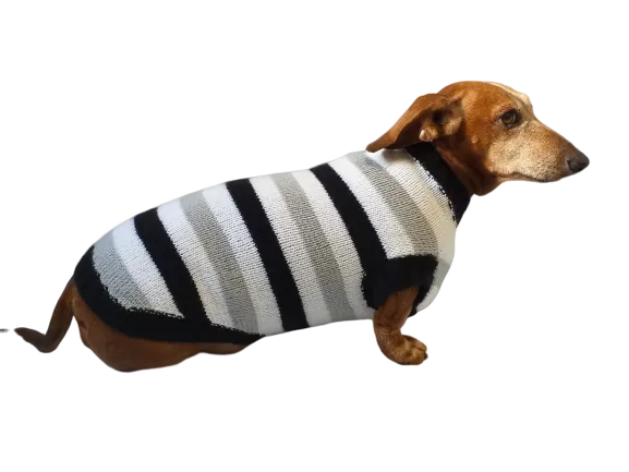 Knitted sweater for small dog clothes for dachshunds