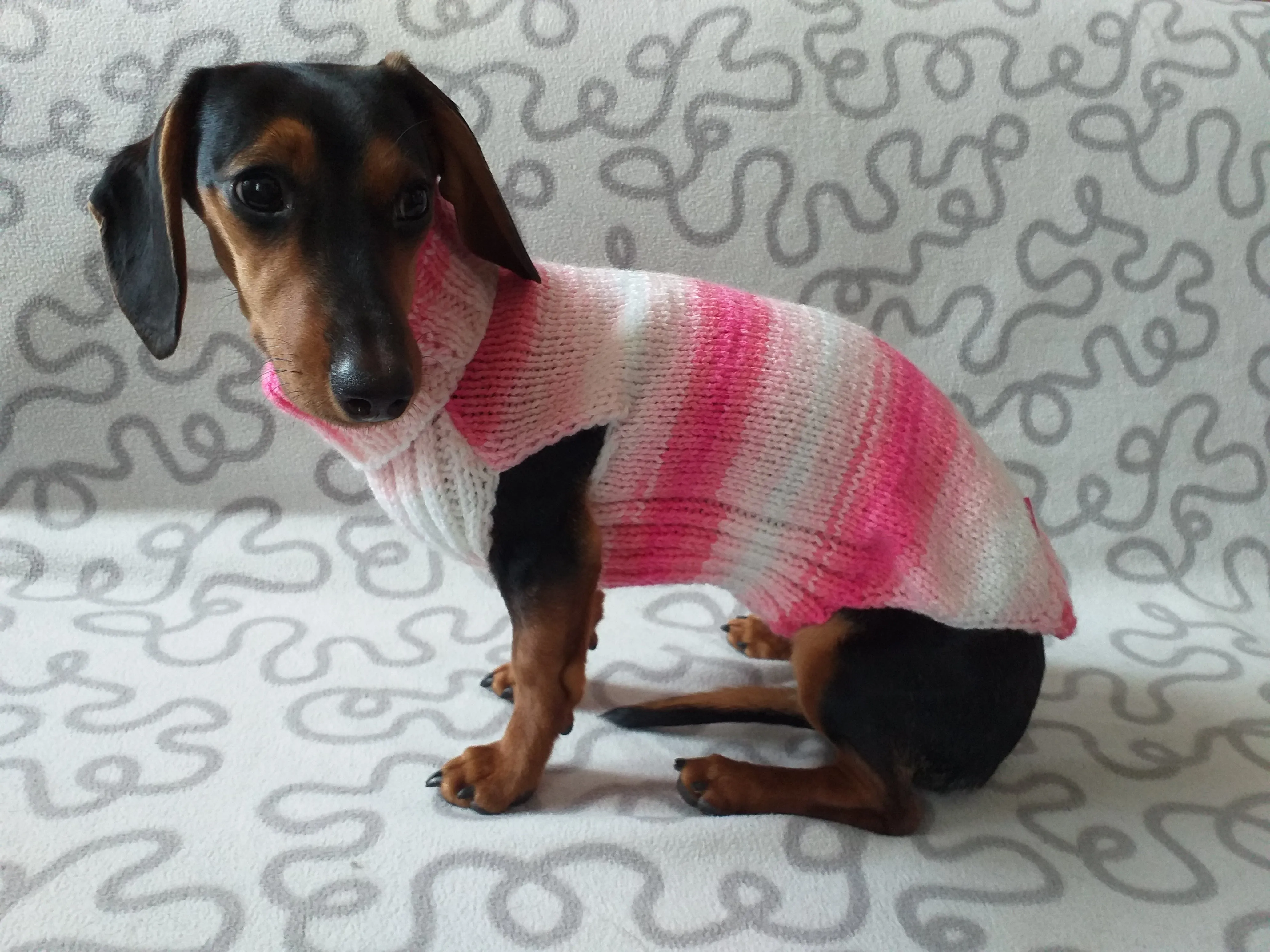 Pink melange batik sweater for dog, Dachshund Sweater, Dog Clothes, Dog sweater, Dachshund clothes, Wiener dog clothes, Winter dog sweater