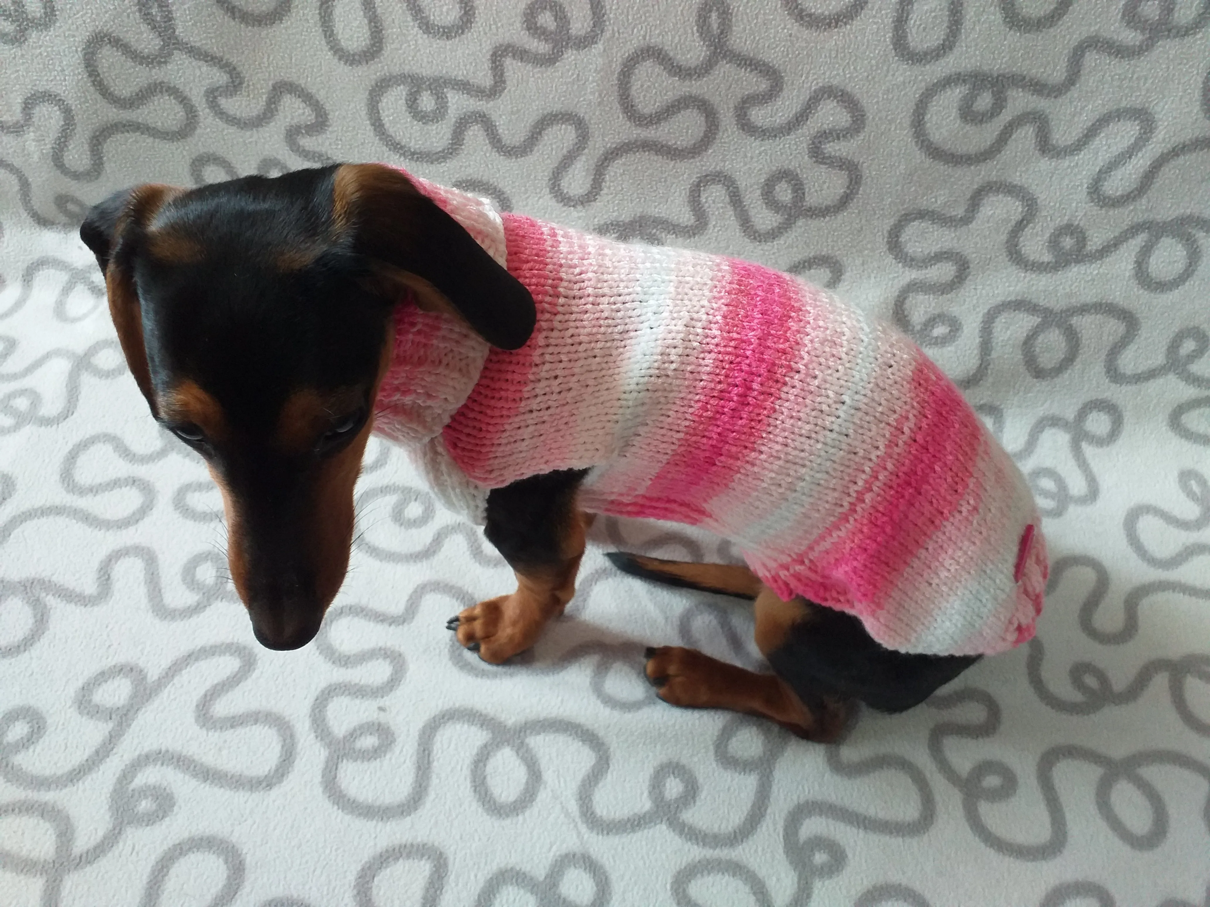 Pink melange batik sweater for dog, Dachshund Sweater, Dog Clothes, Dog sweater, Dachshund clothes, Wiener dog clothes, Winter dog sweater