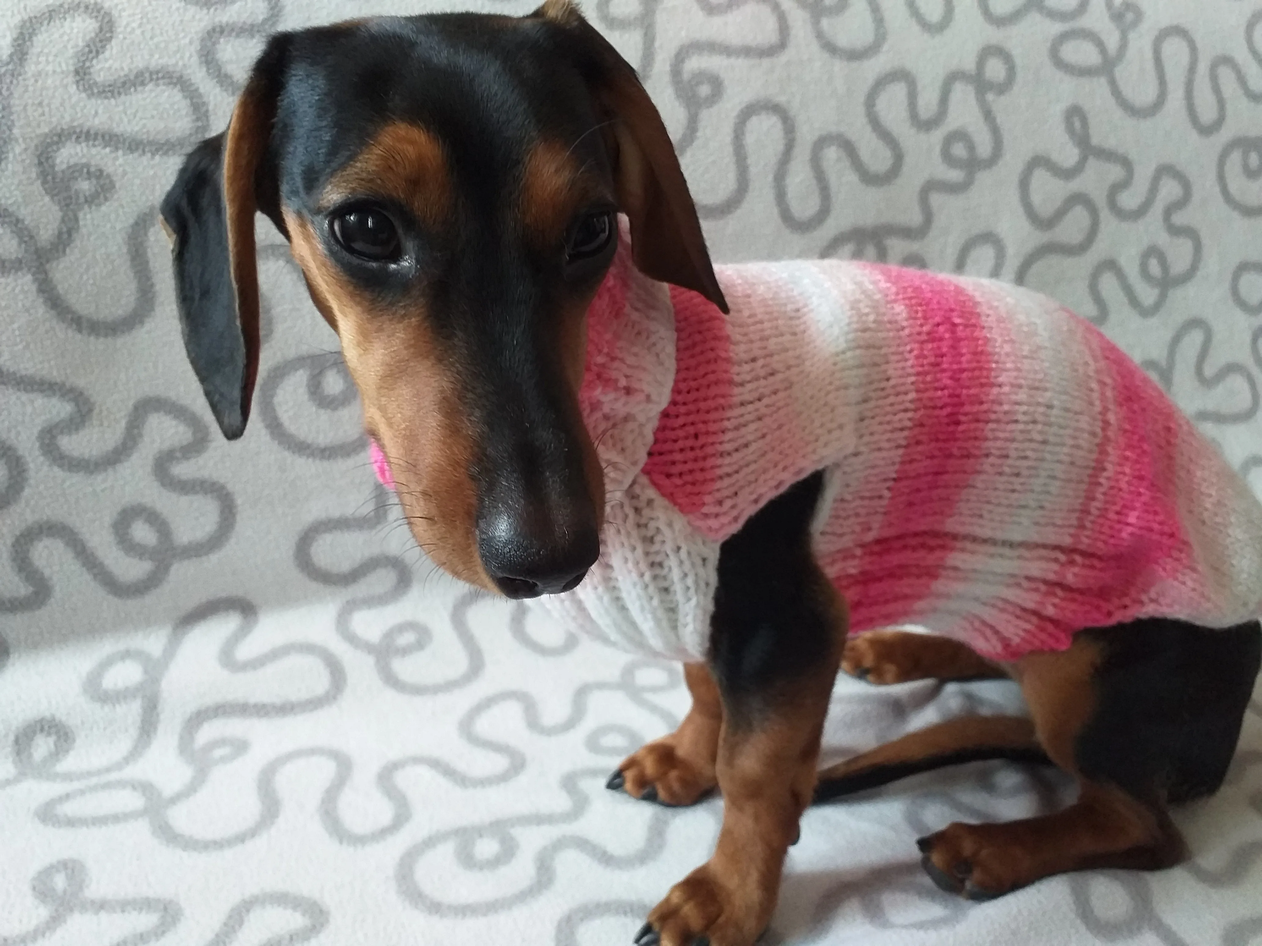 Pink melange batik sweater for dog, Dachshund Sweater, Dog Clothes, Dog sweater, Dachshund clothes, Wiener dog clothes, Winter dog sweater