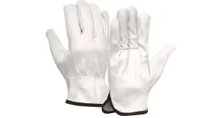 Pyramex Goat Unlined Value Goatskin Leather Driver Gloves - X2