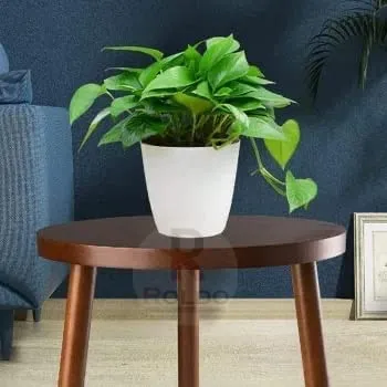 Roldo Round Side Table, Small Coffee Table for Living Room, Night Stand for Small Spaces Plant Stand Easy Assembly-Brown